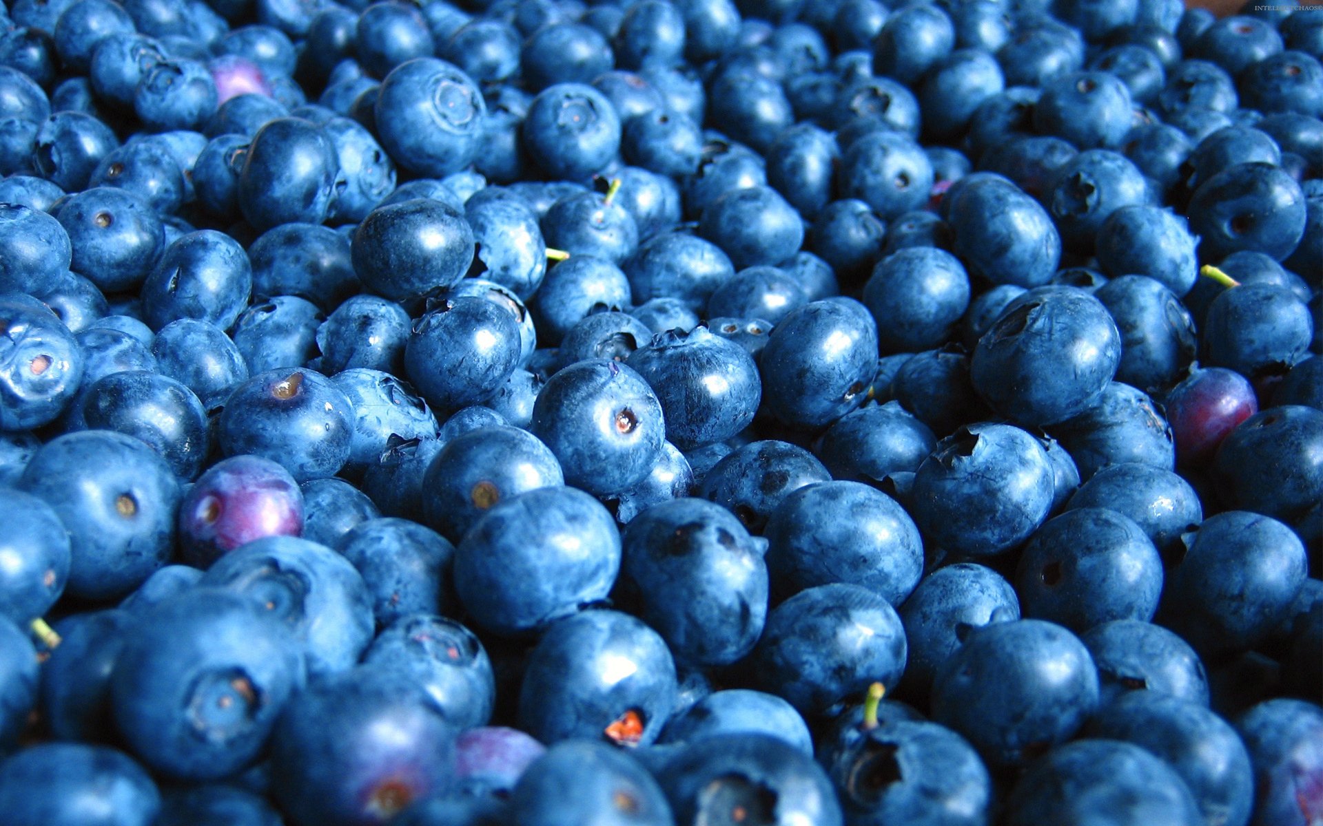 1920 X 1080 Blueberry Wallpapers