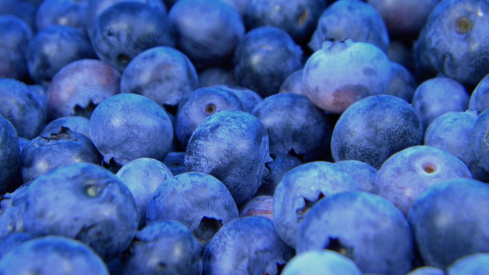 1920 X 1080 Blueberry Wallpapers