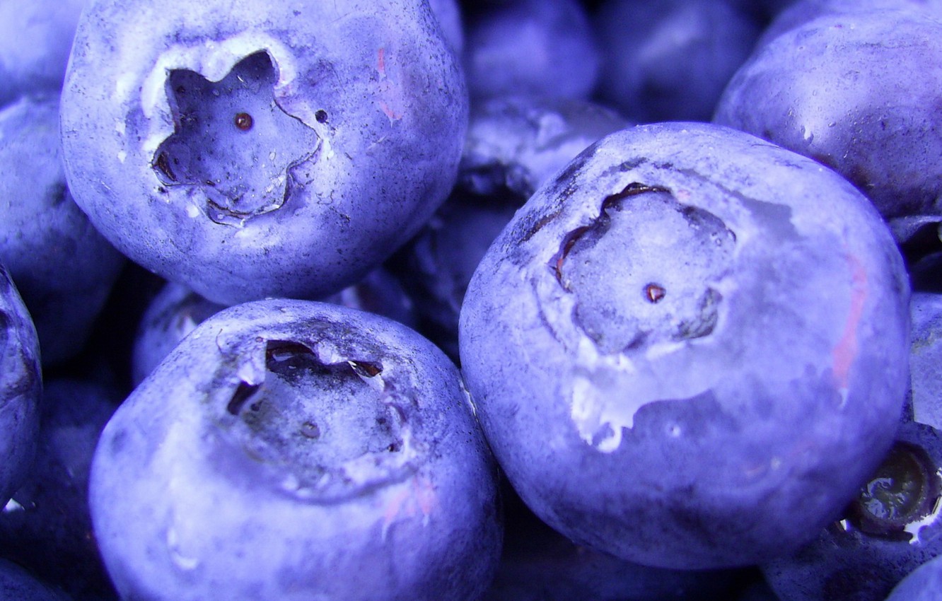 1920 X 1080 Blueberry Wallpapers