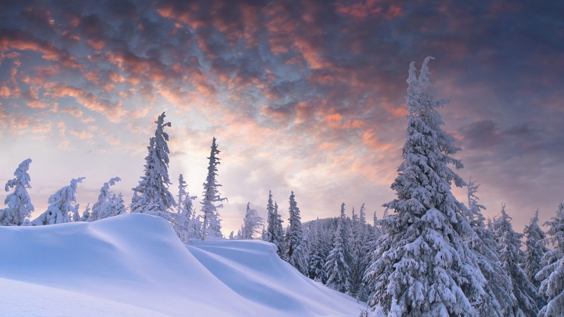 1920X1080 Hd Snow Wallpapers