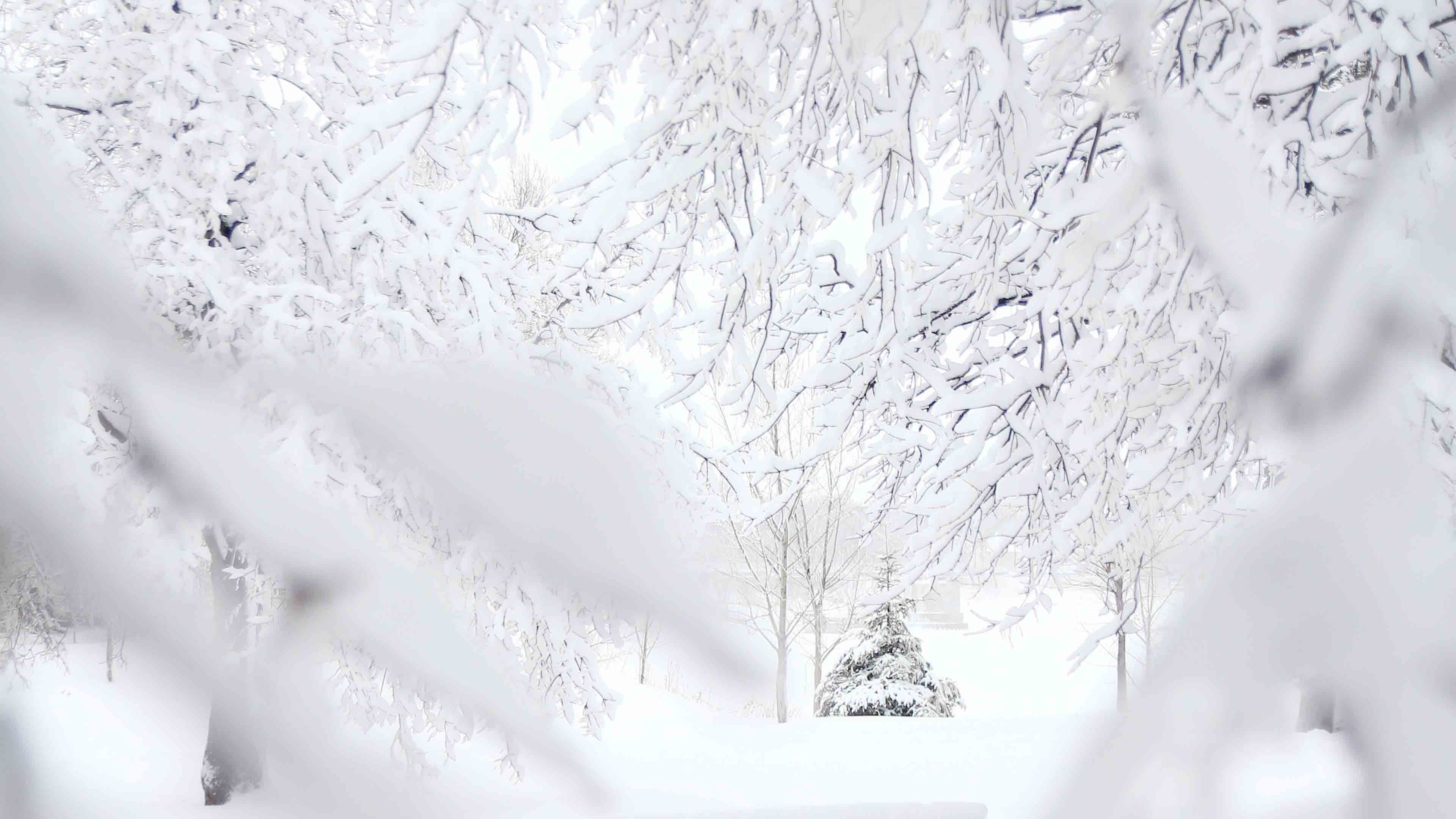 1920X1080 Hd Snow Wallpapers