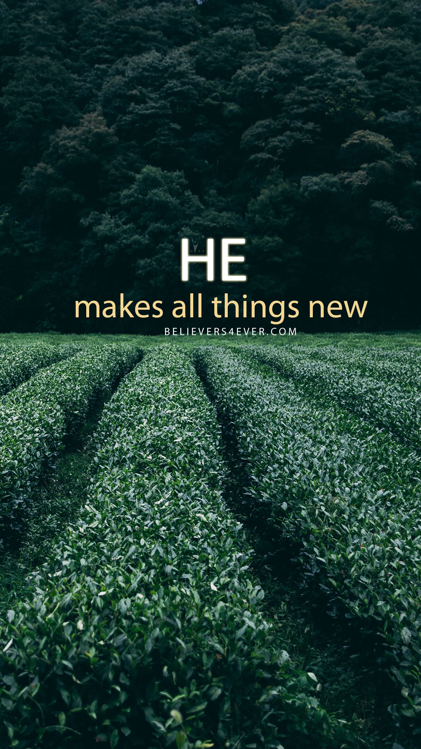 4K Christian Hd Mobile Wallpapers