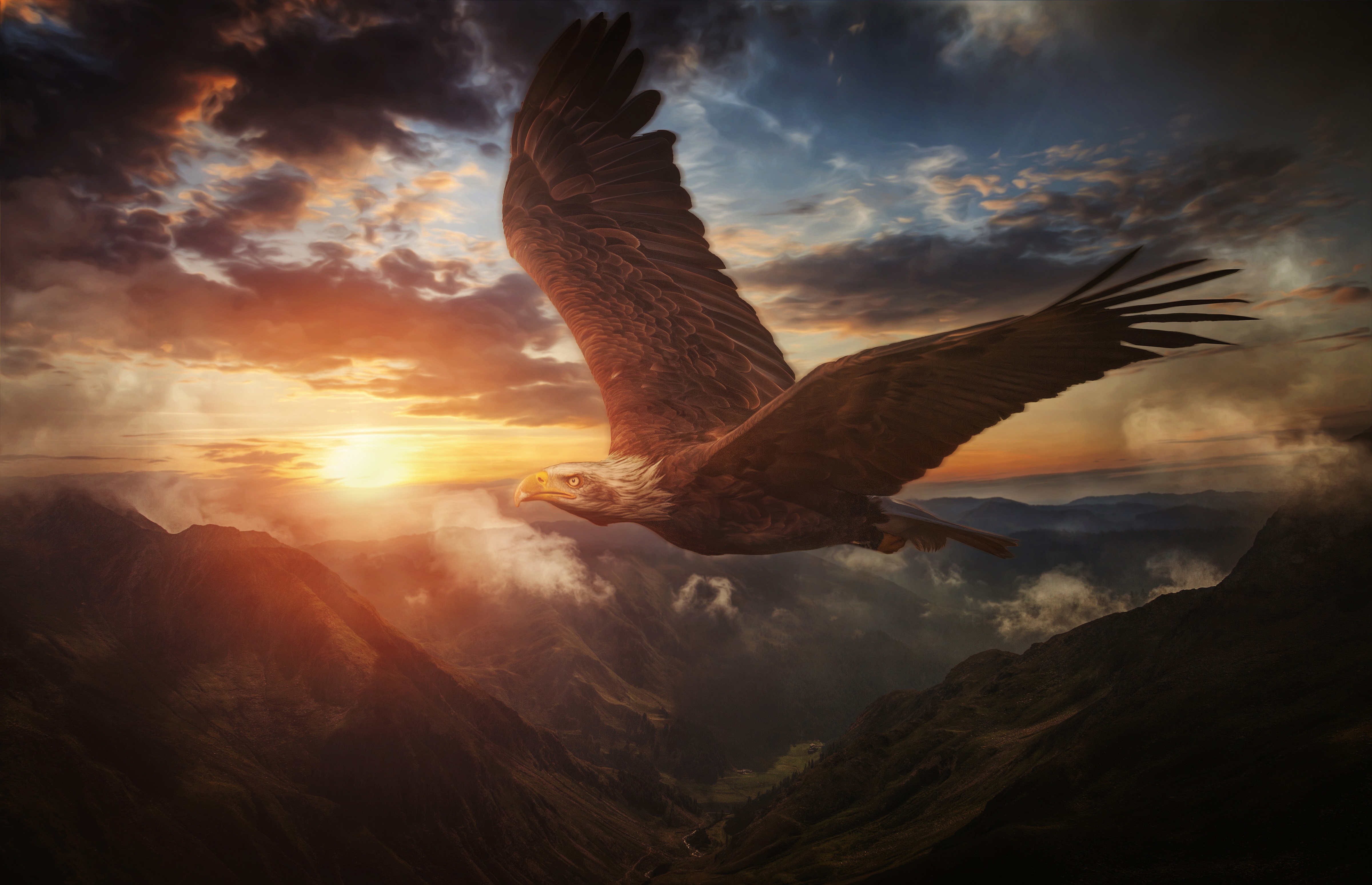 4K Eagle Wallpapers