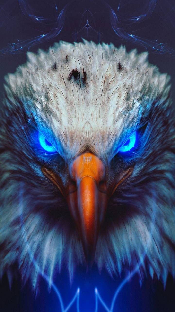 4K Eagle Wallpapers