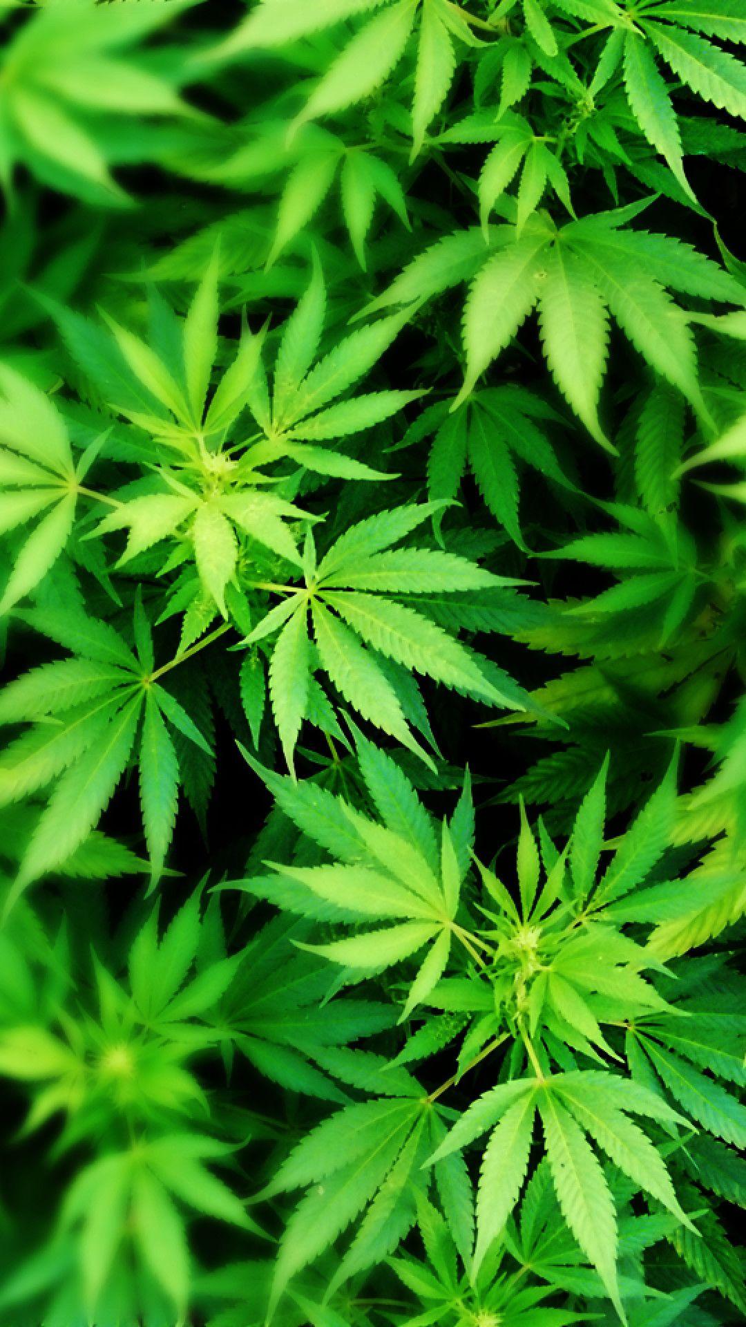 4K Marijuana Wallpapers