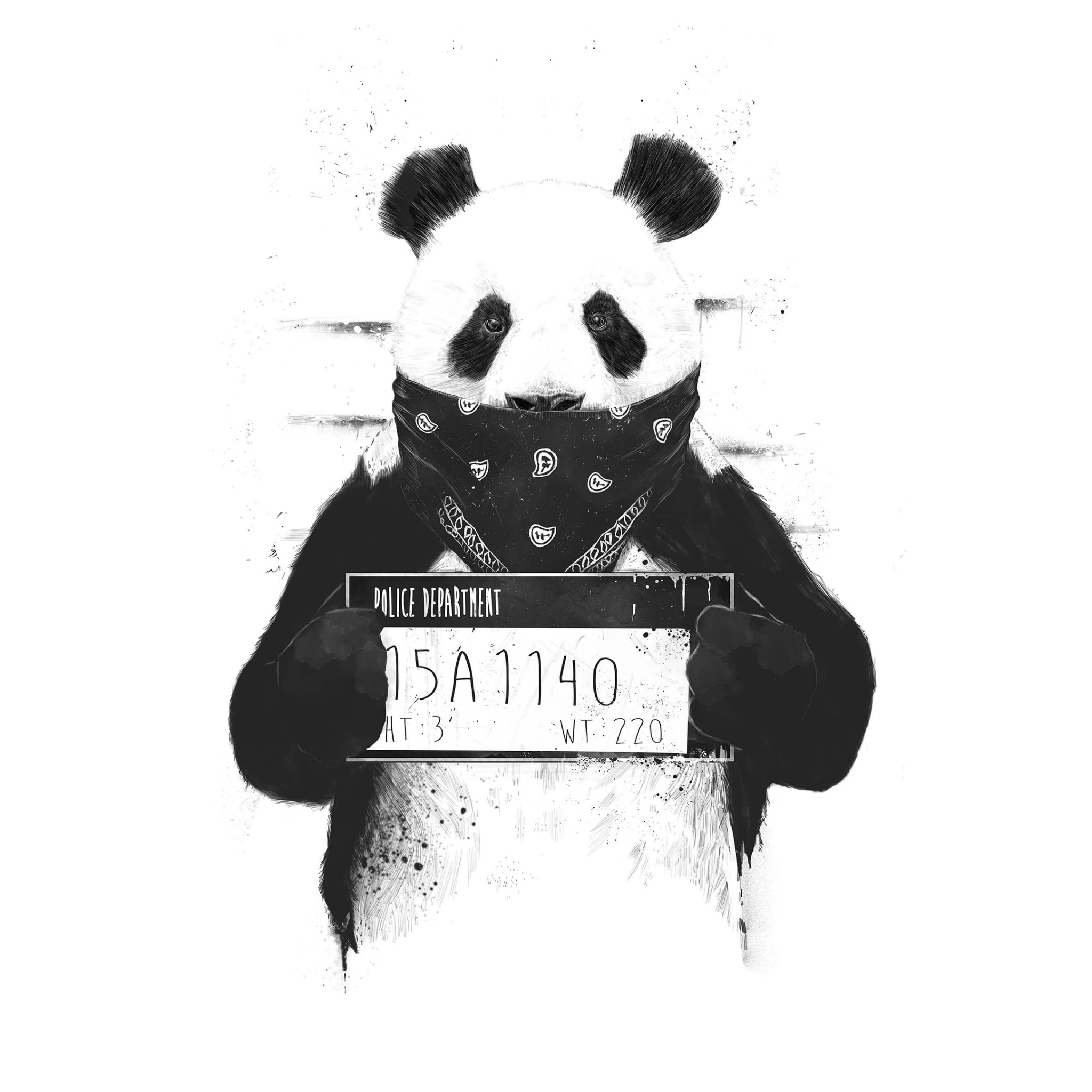 4K Panda Wallpapers