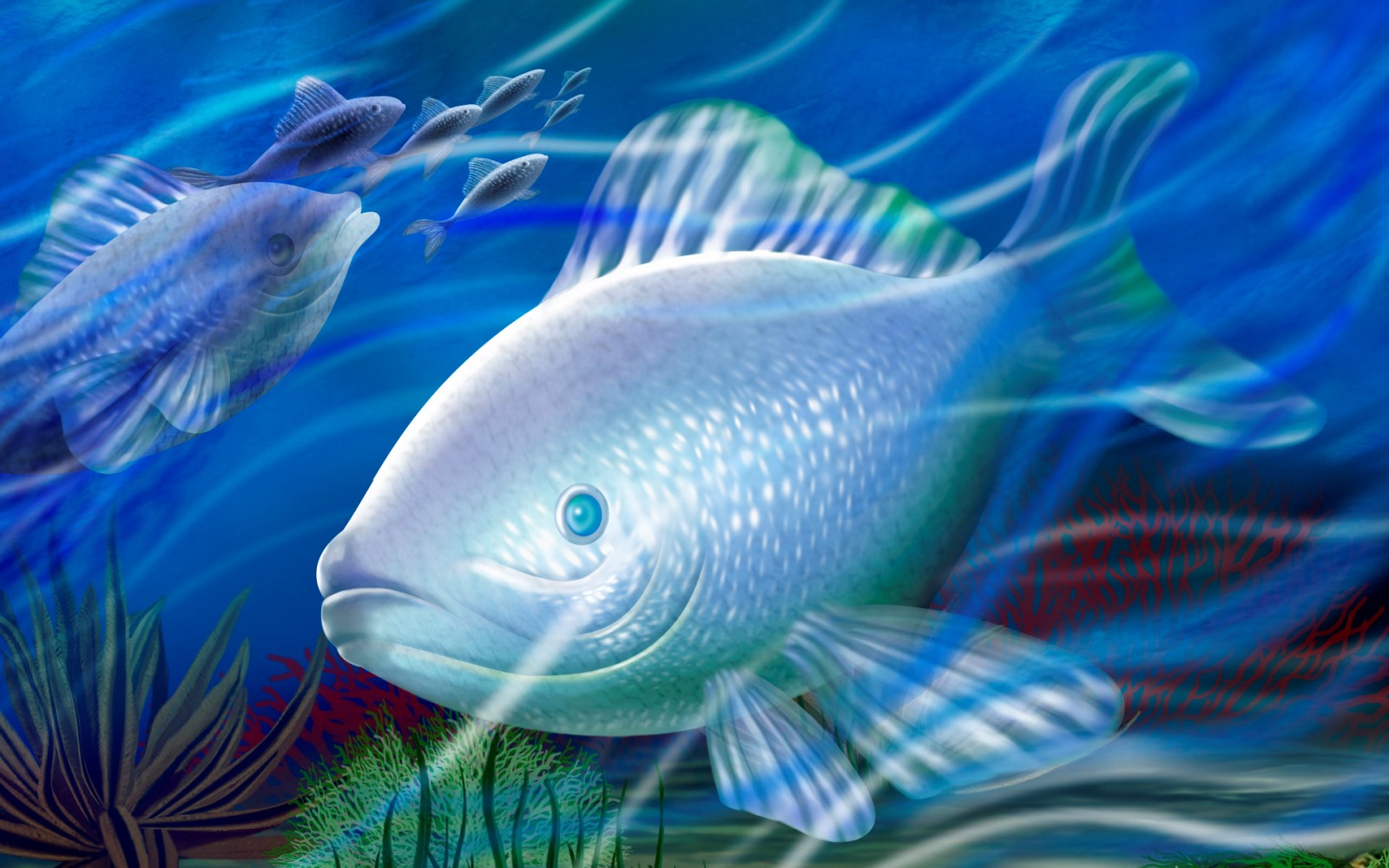 4K Ultra Hd Fish Wallpapers