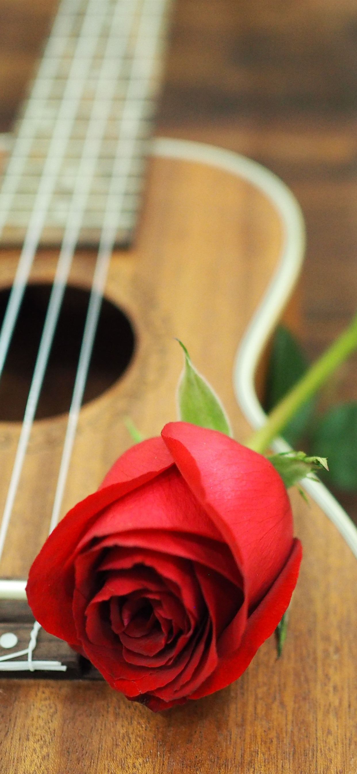 Acoustic Guitar Iphone Wallpapers