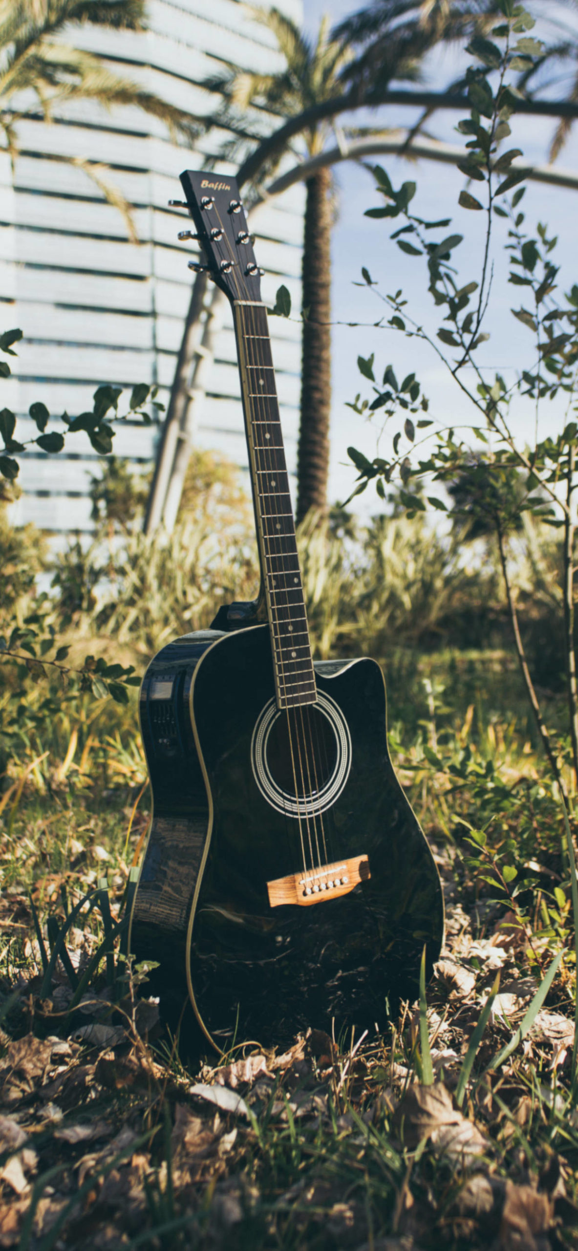 Acoustic Guitar Iphone Wallpapers