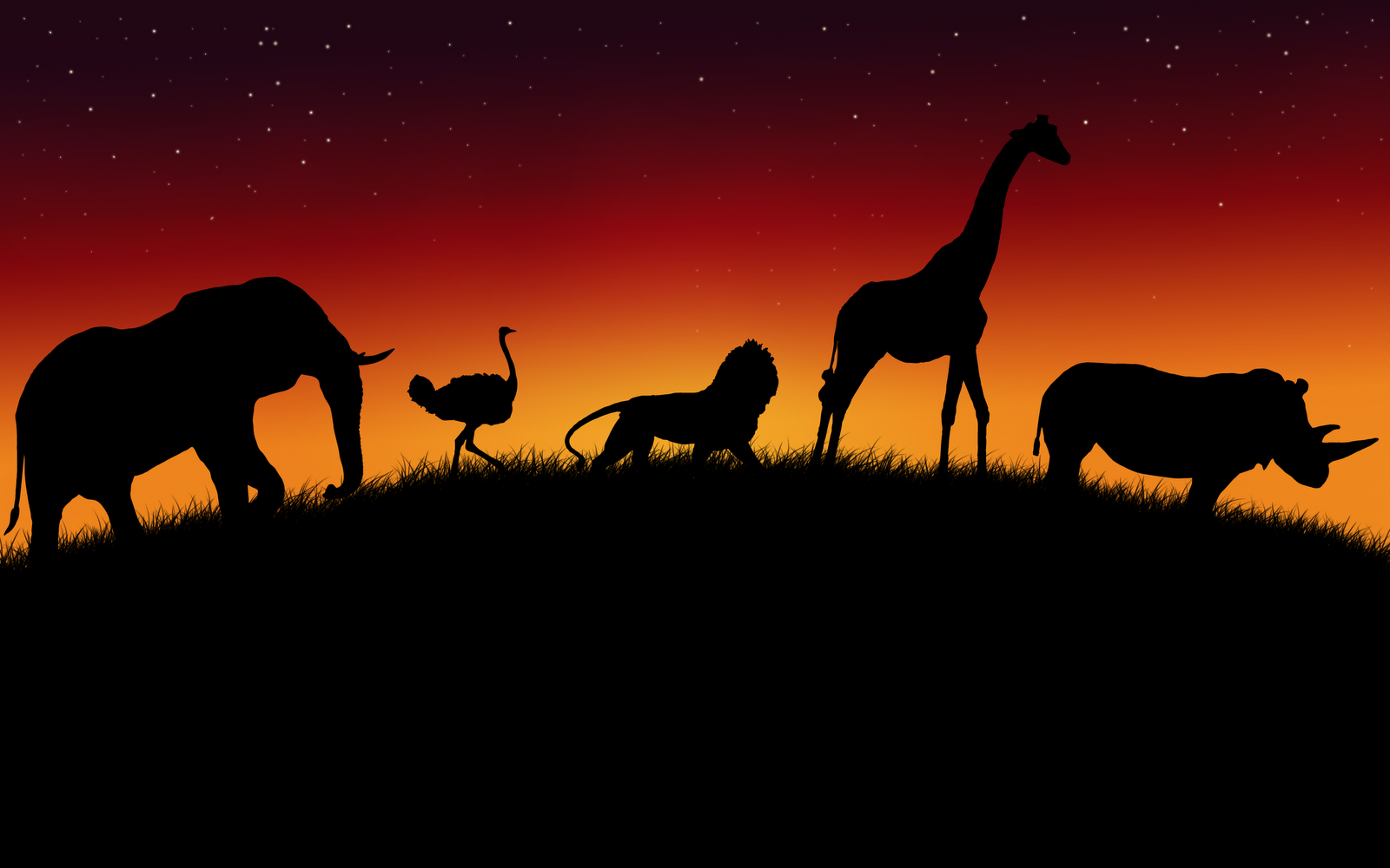 African Animals Wallpapers