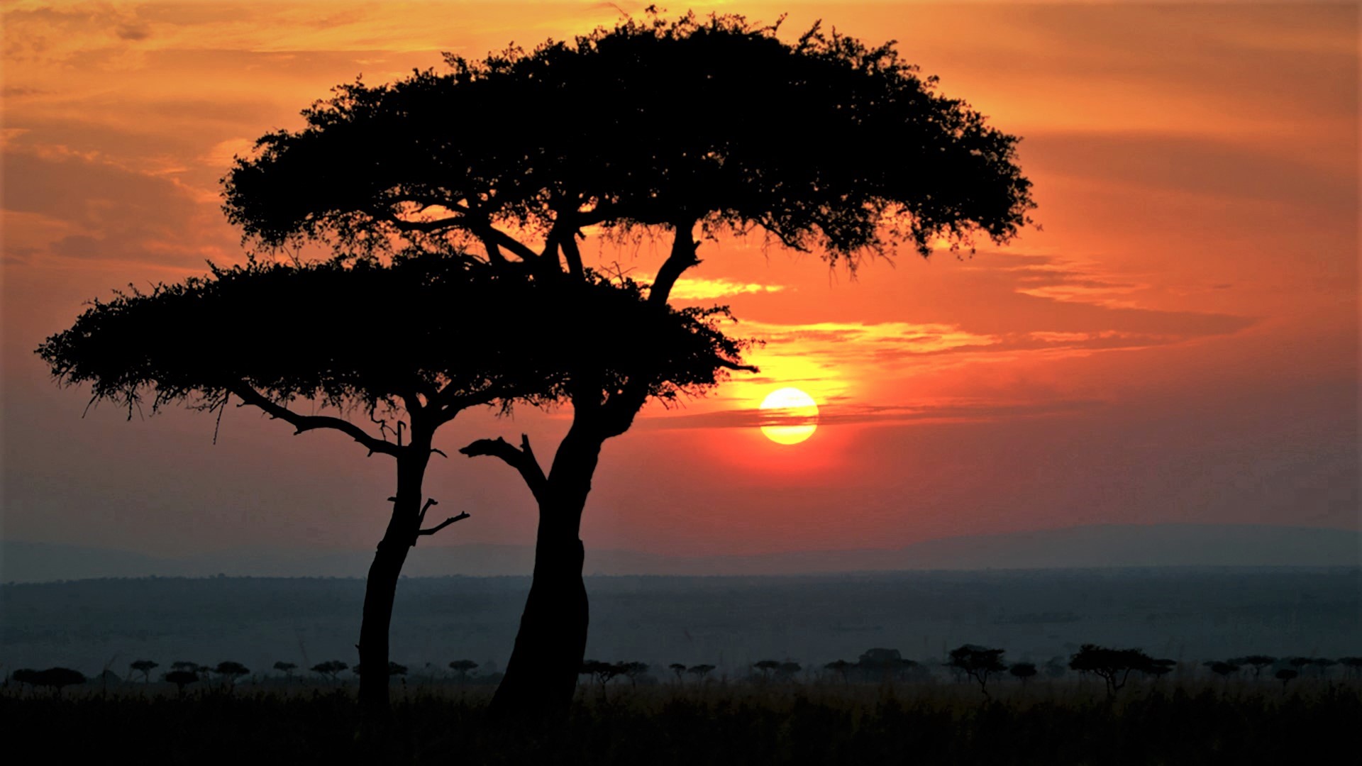 African Sunset Wallpapers