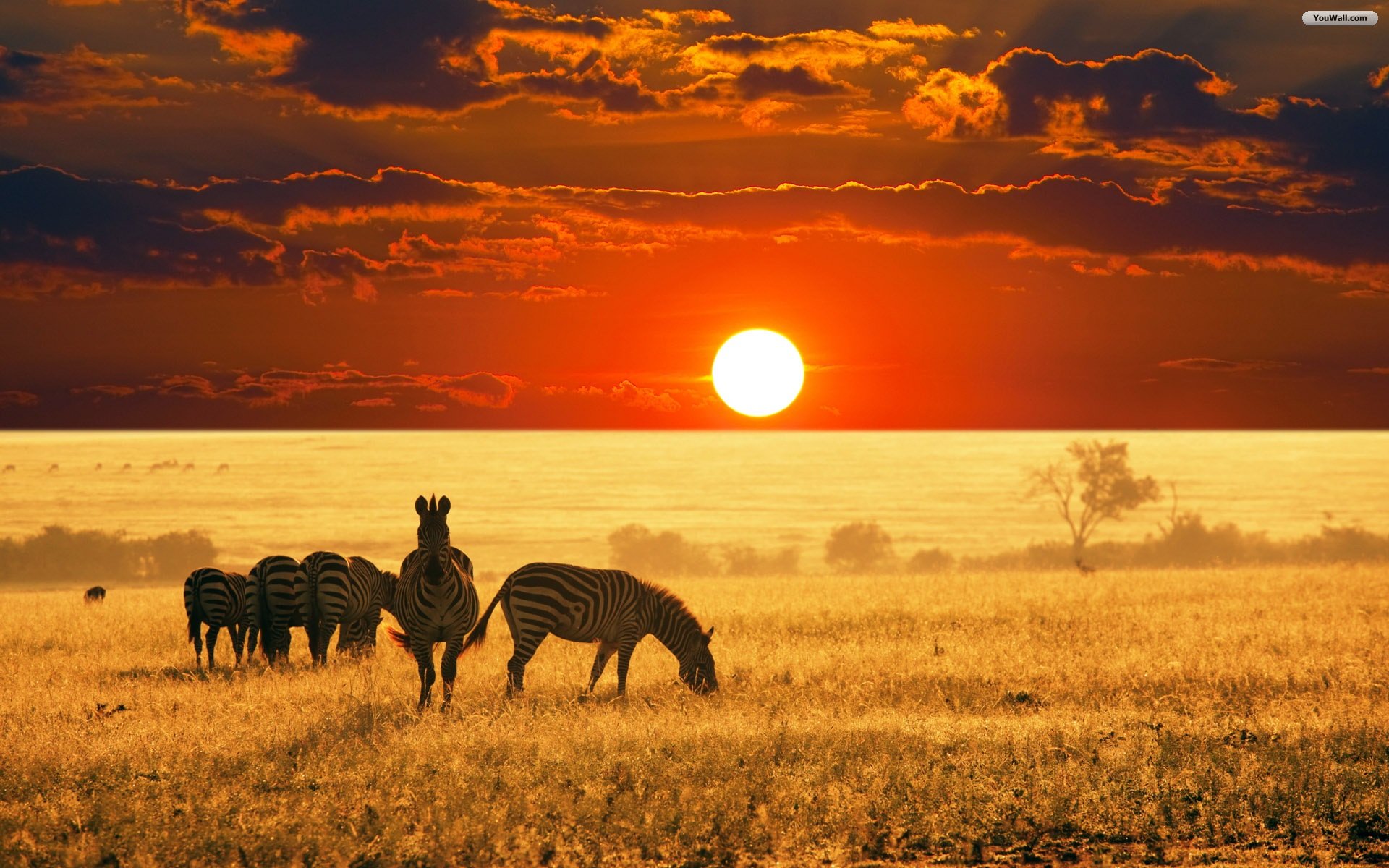 African Sunset Wallpapers