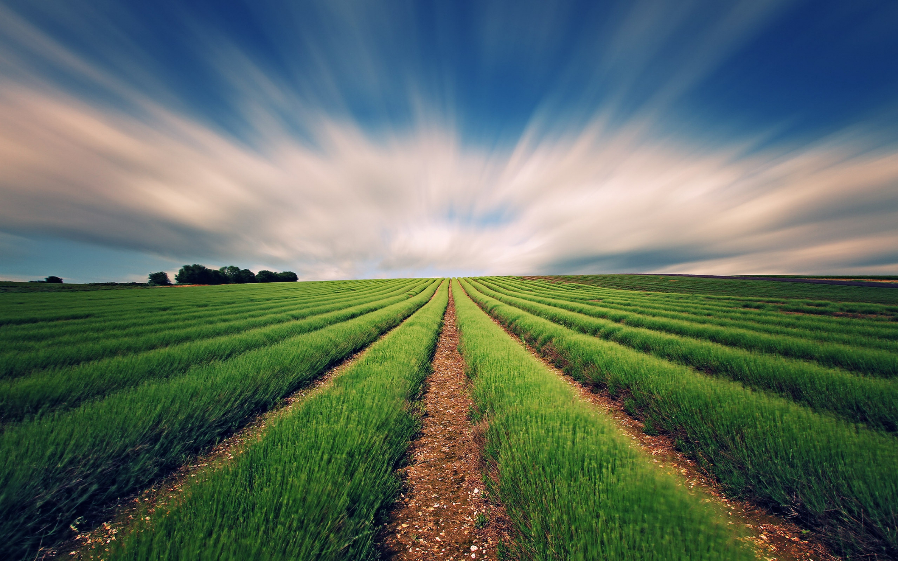 Agriculture Wallpapers