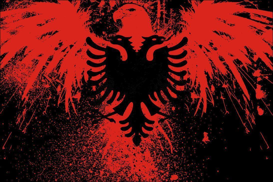 Albanian Eagle Wallpapers