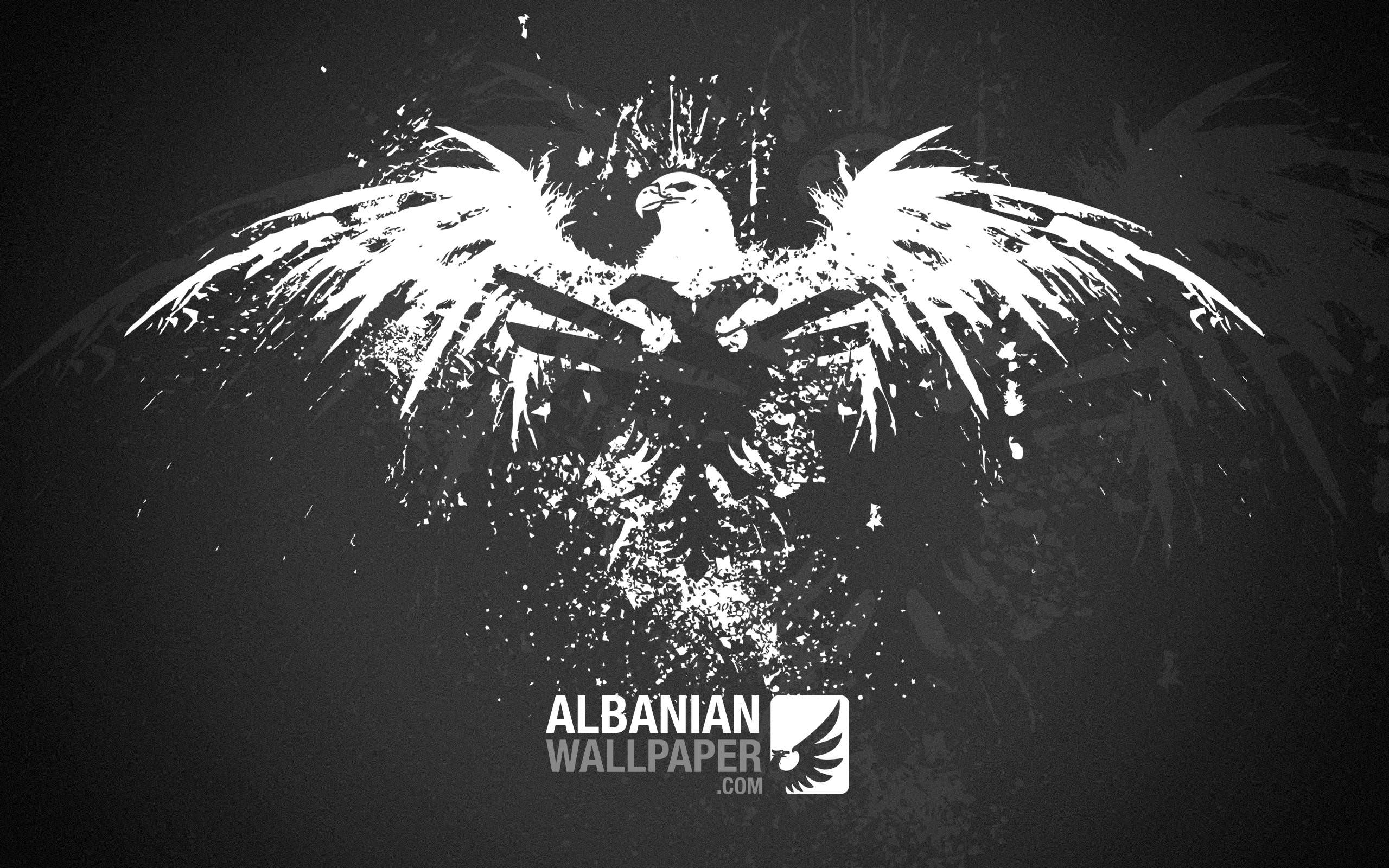 Albanian Eagle Wallpapers