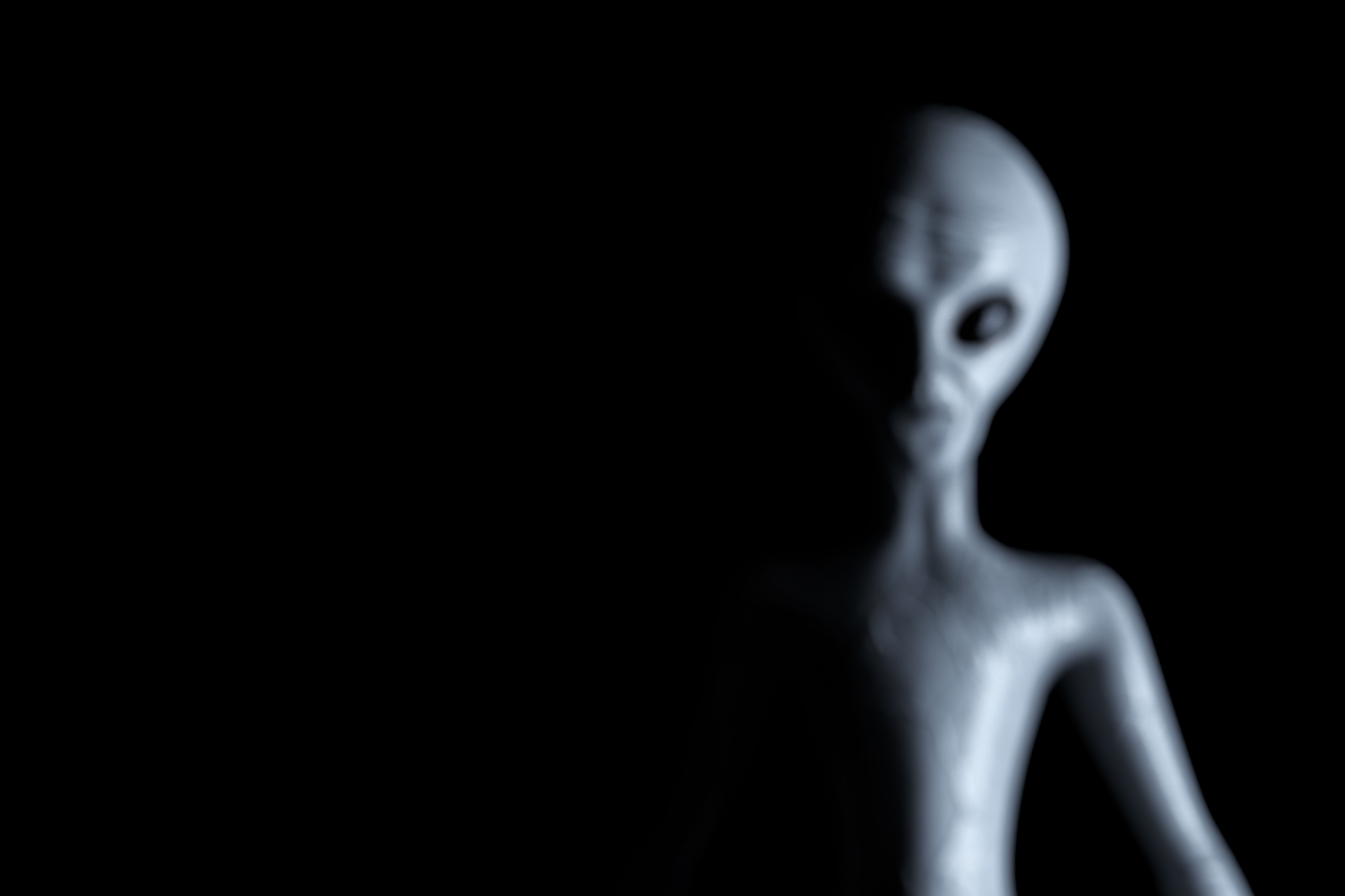 Alien Head Wallpapers