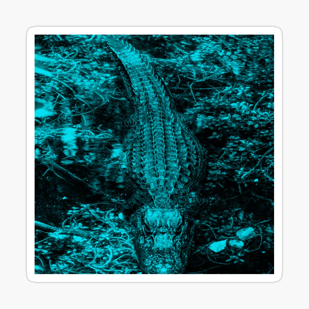 Alligator Iphone Wallpapers