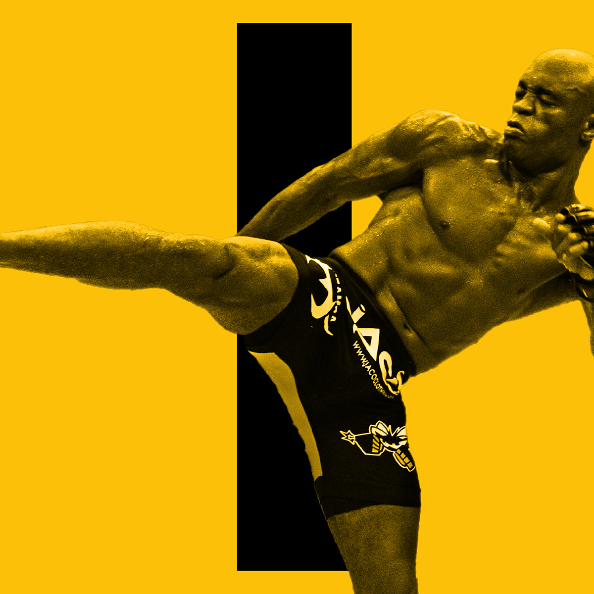 Anderson Silva Wallpapers