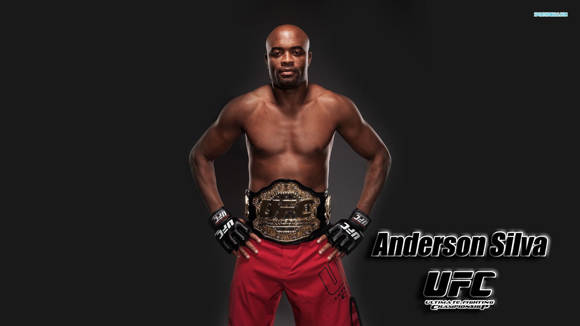 Anderson Silva Wallpapers