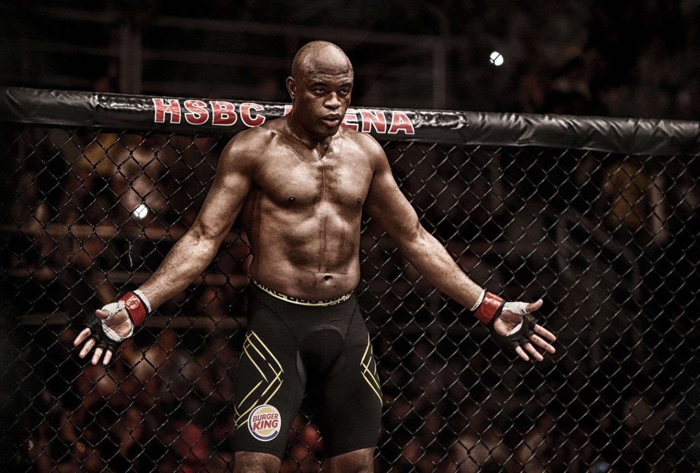 Anderson Silva Wallpapers