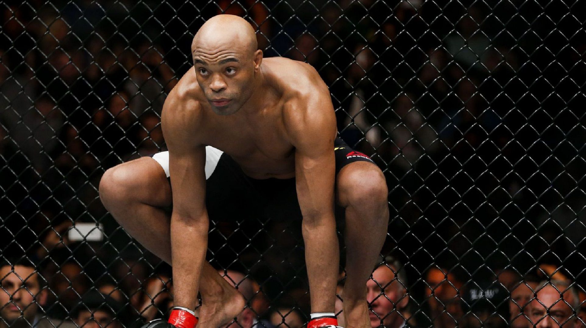 Anderson Silva Wallpapers