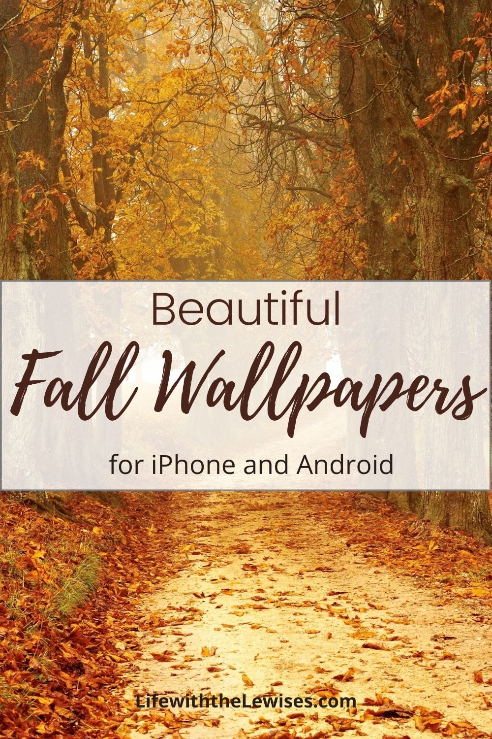 Android Fall Wallpapers