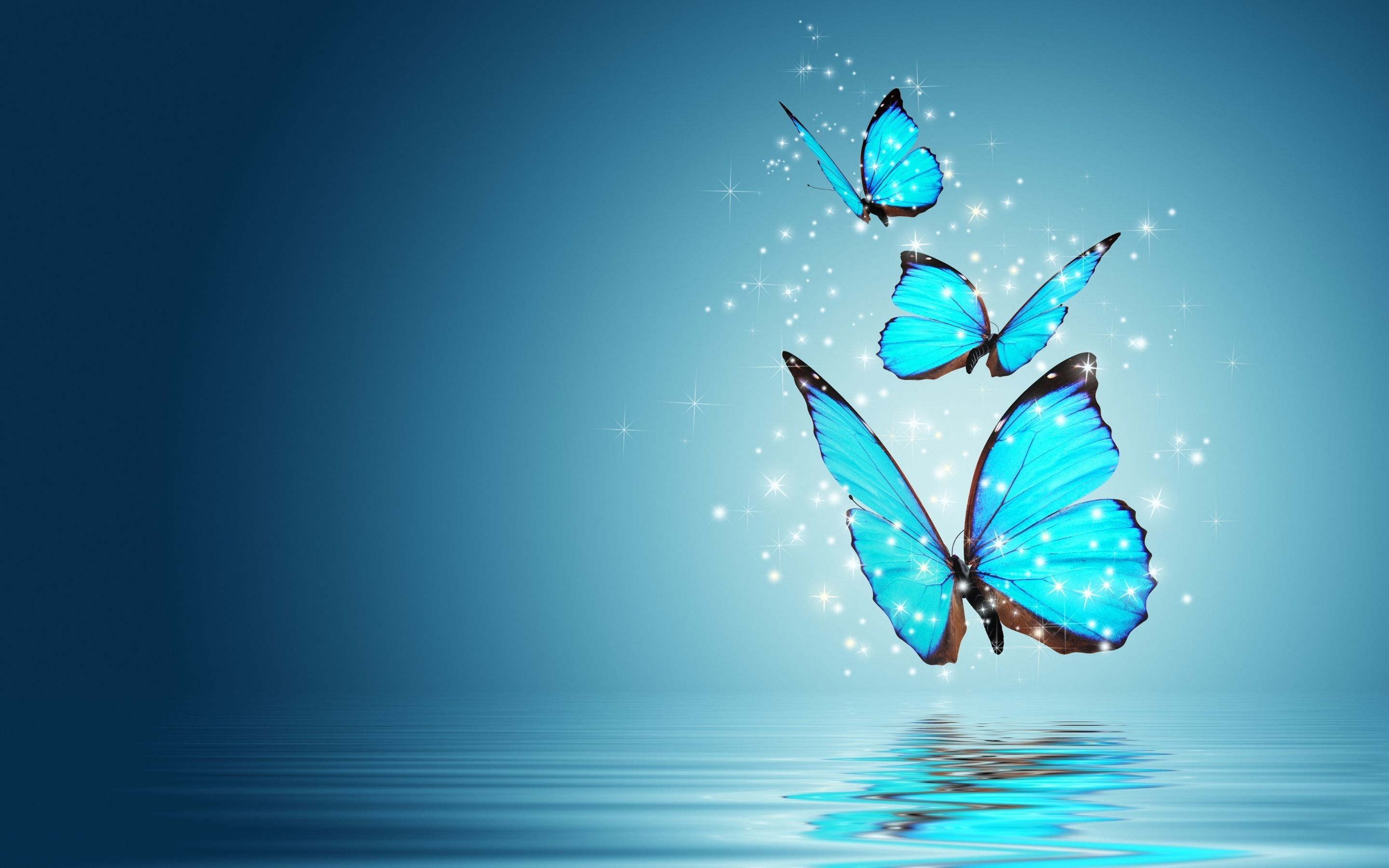 Animated Butterfly Wallpapers