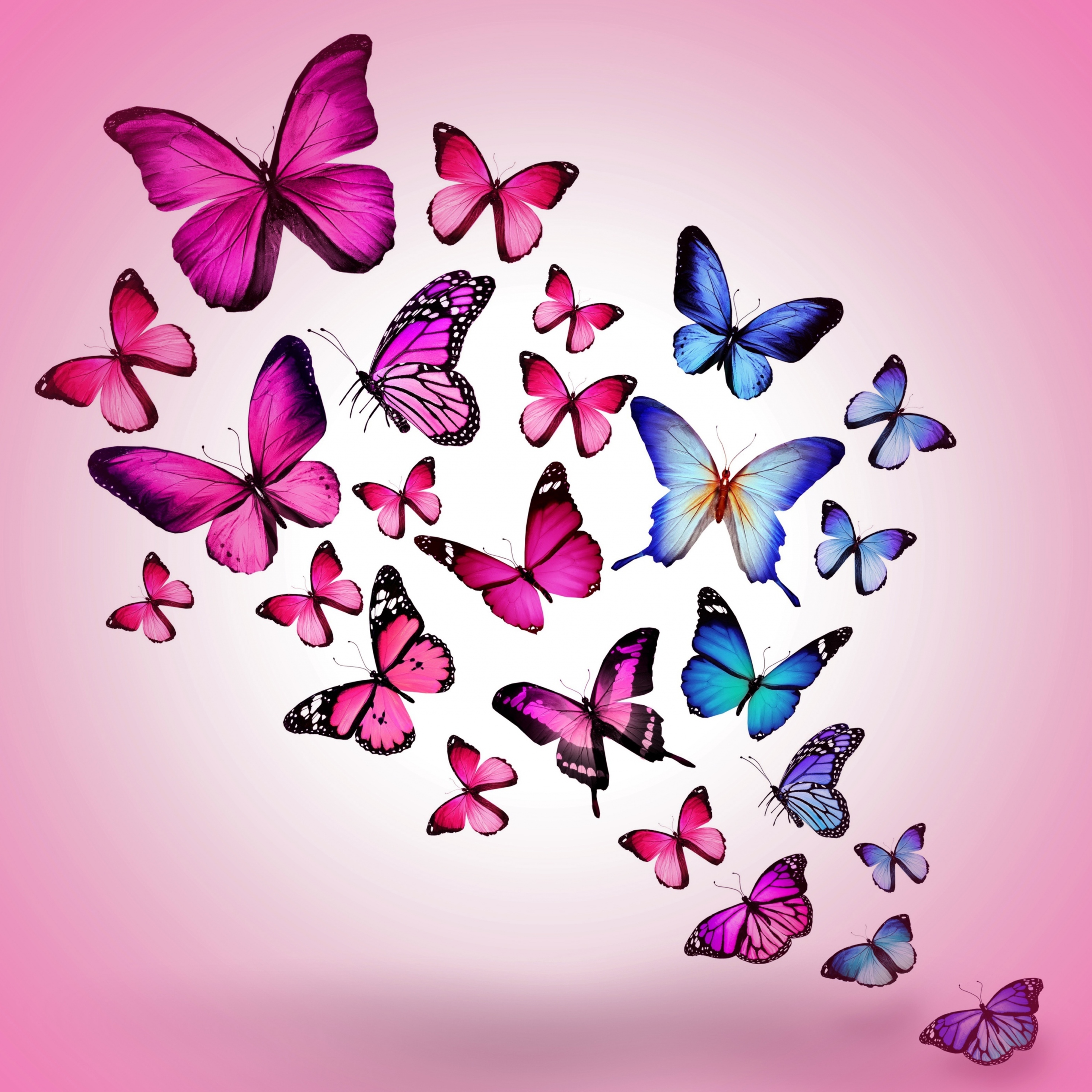 Animated Butterfly Wallpapers