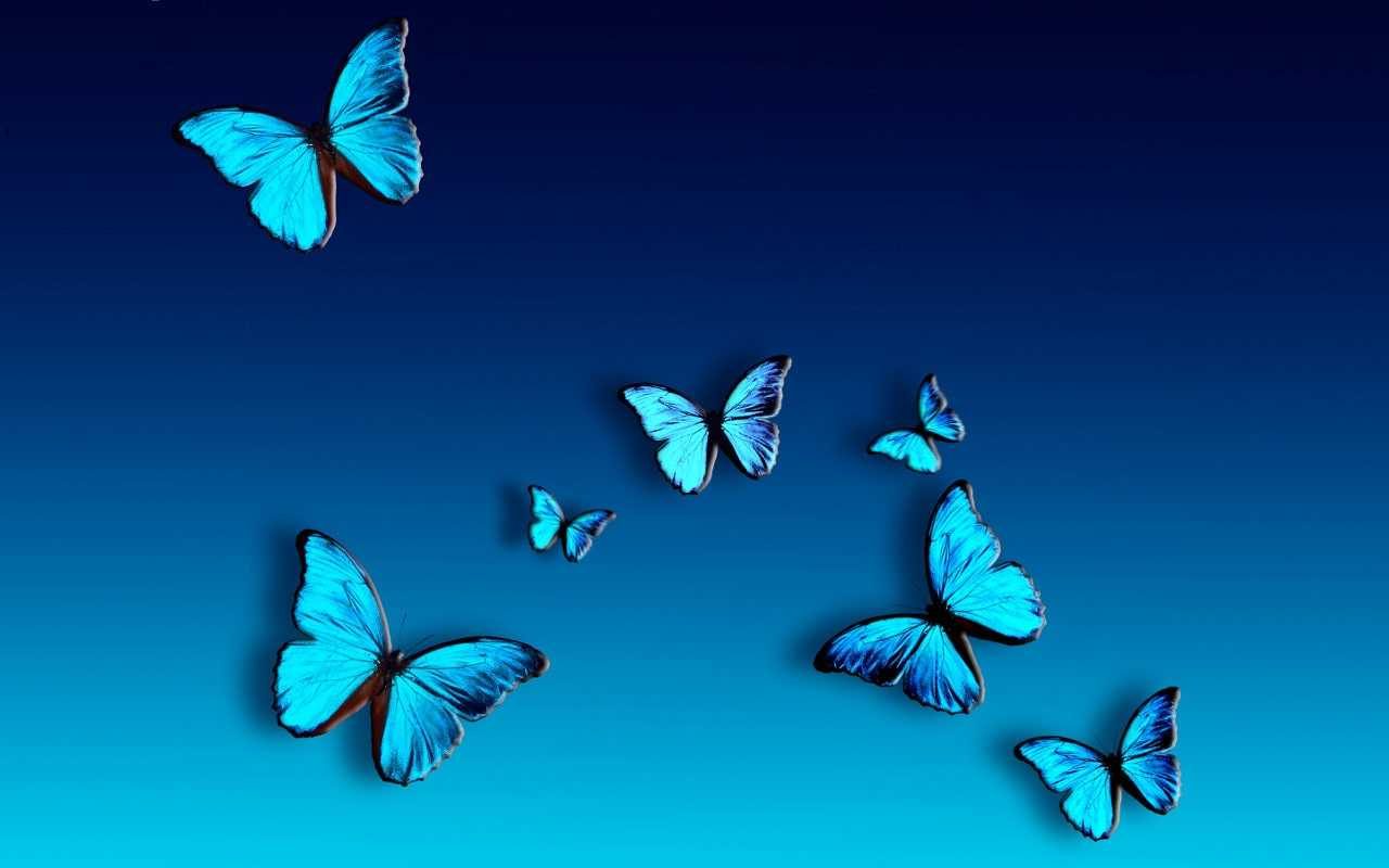 Animated Butterfly Wallpapers