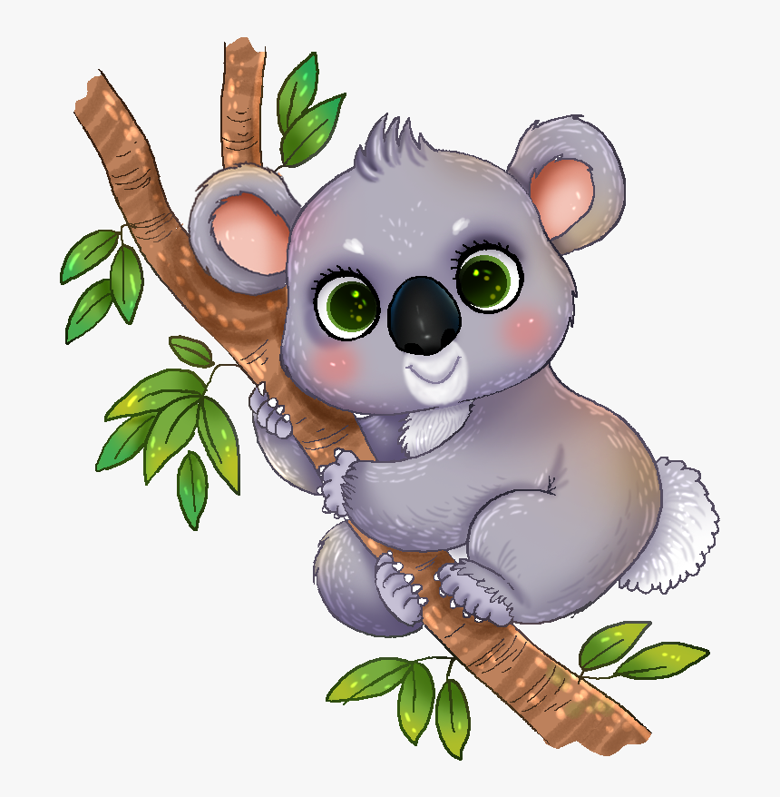 Animated Koala Wallpapers