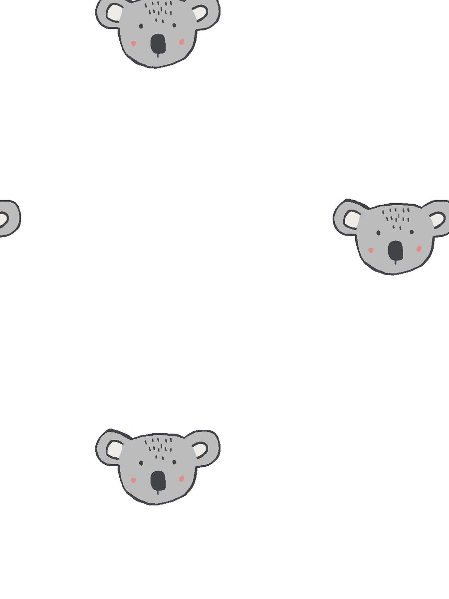 Animated Koala Wallpapers