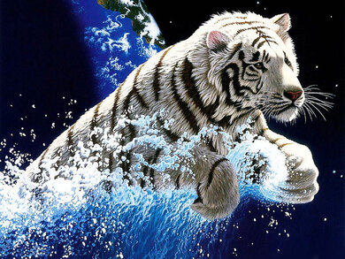 Animated Tiger Wallpapers