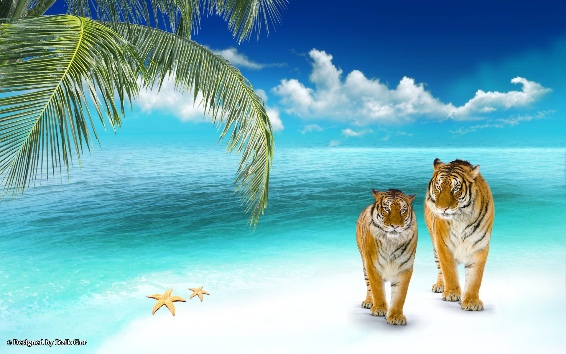 Animated Tiger Wallpapers