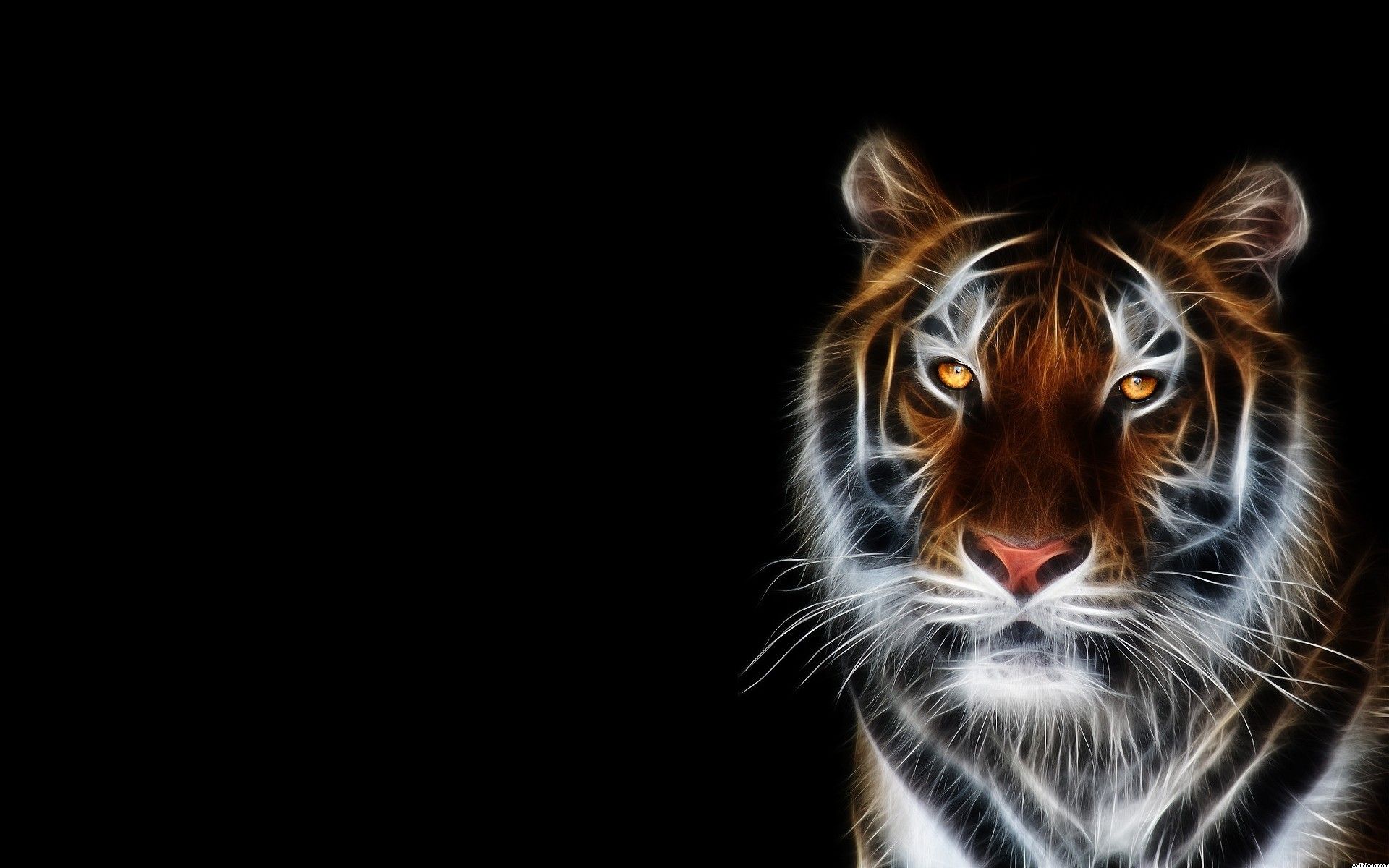 Animated Tiger Wallpapers