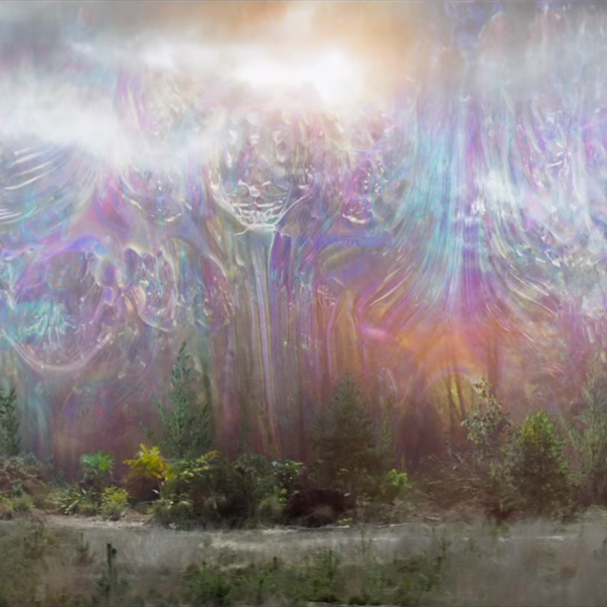 Annihilation Movie Wallpapers