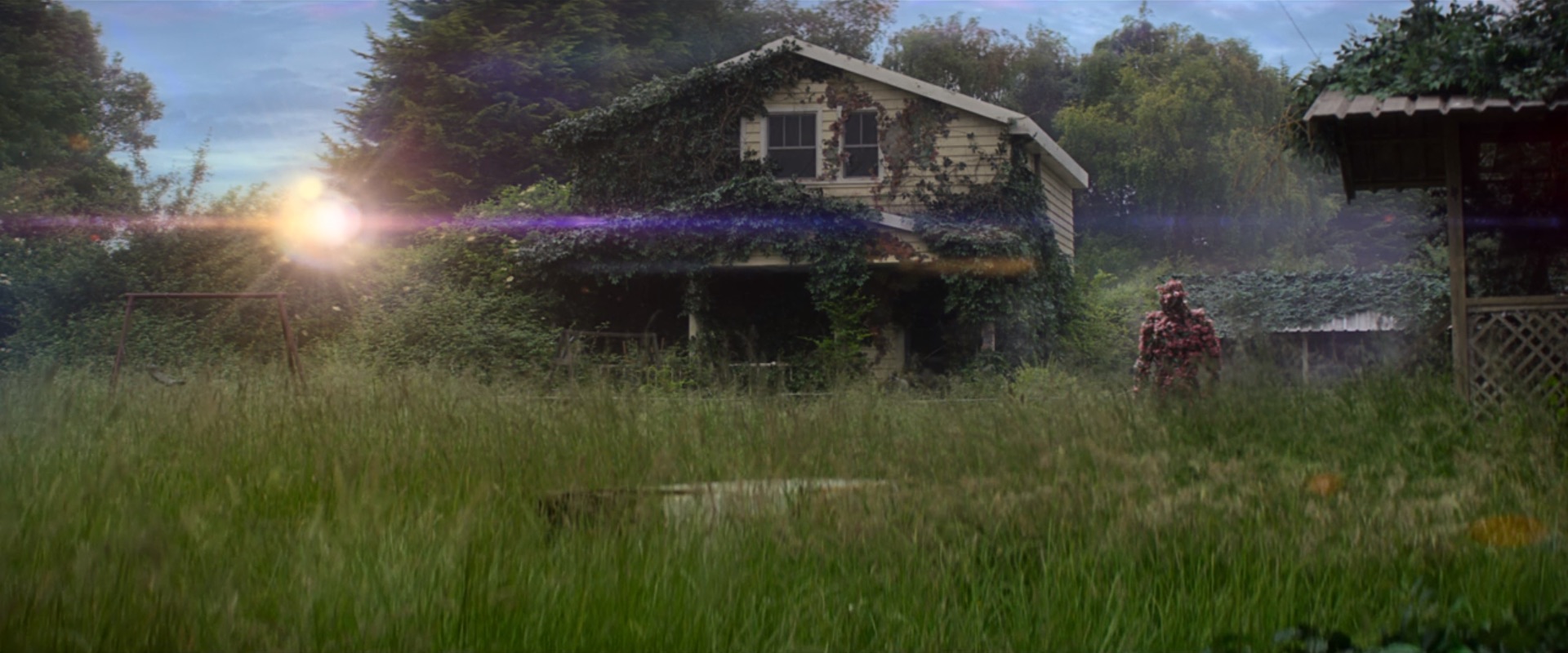 Annihilation Movie Wallpapers