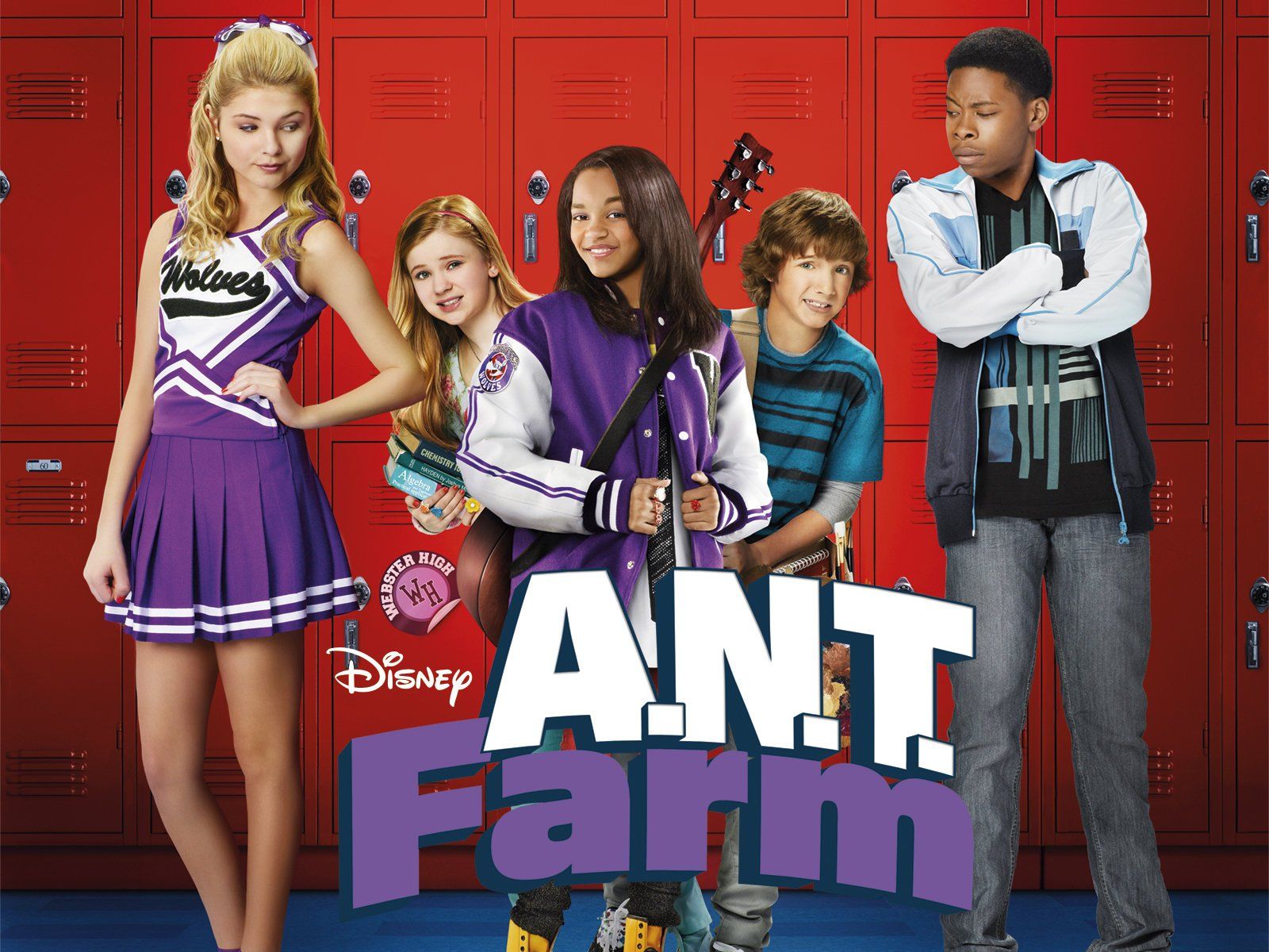 Ant Farm Wallpapers