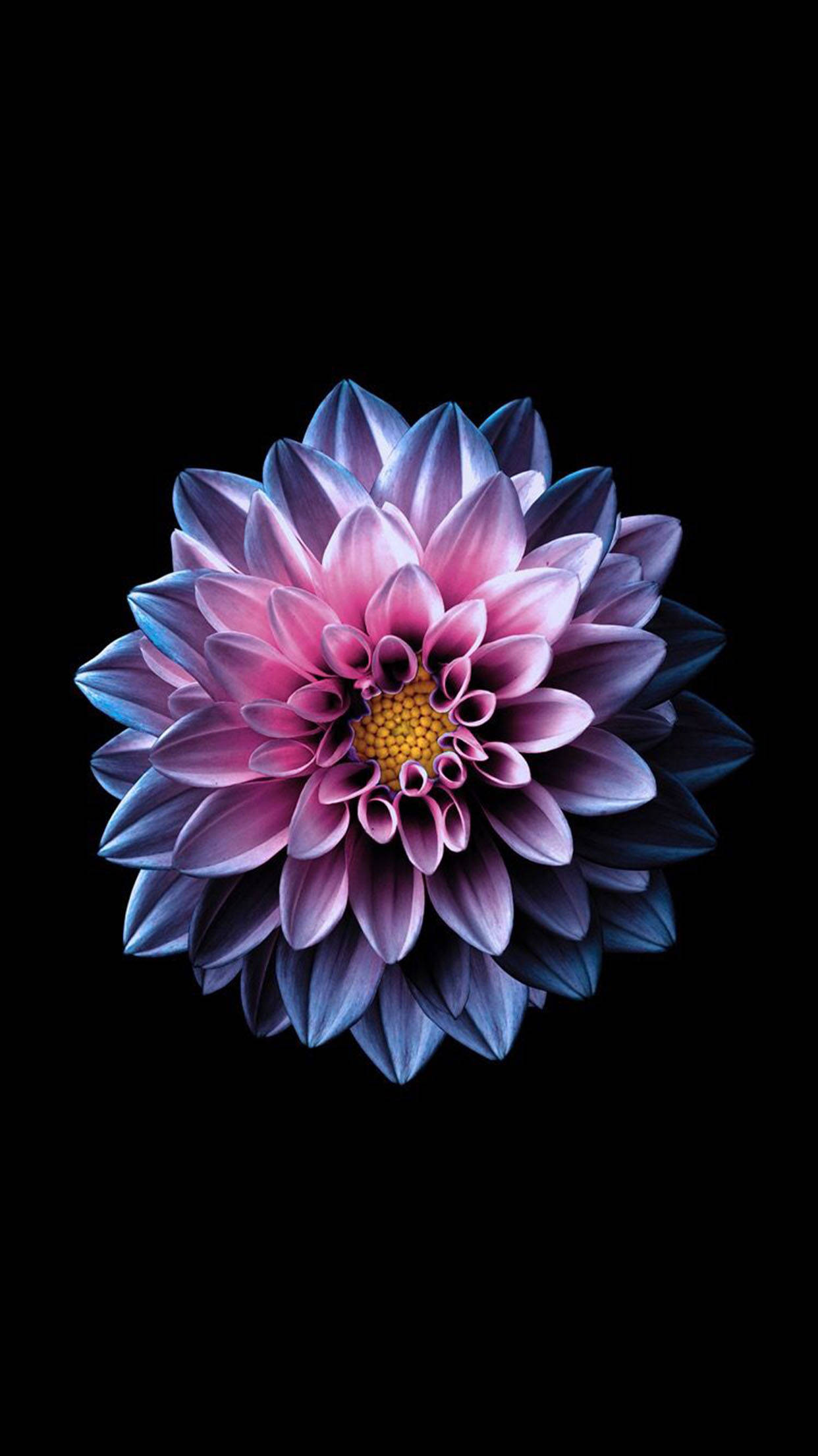 Apple Amoled Wallpapers