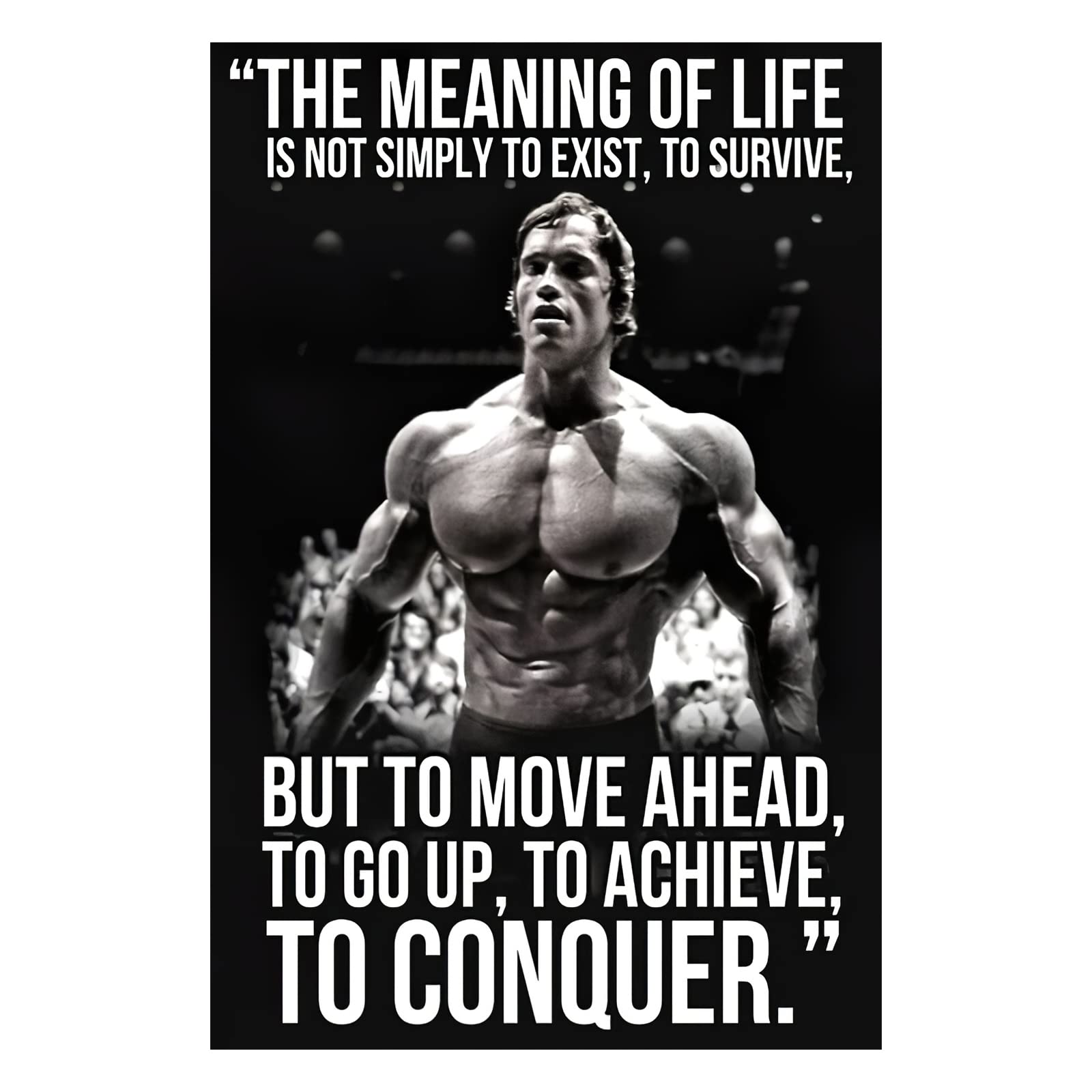 Arnold Schwarzenegger Quotes Wallpapers