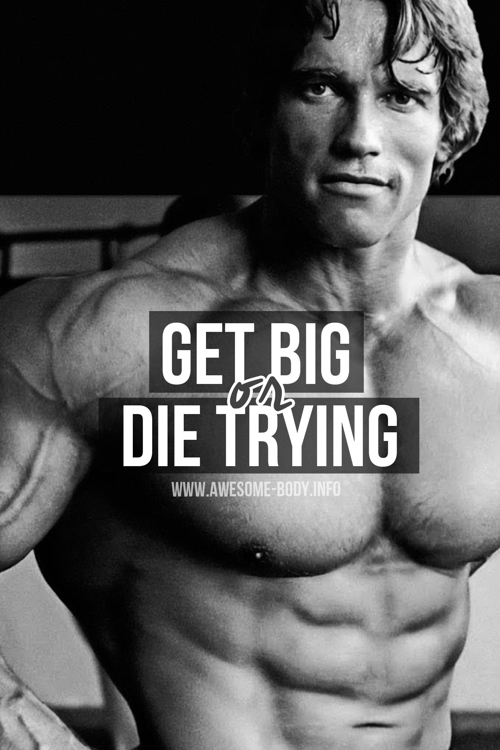 Arnold Schwarzenegger Quotes Wallpapers