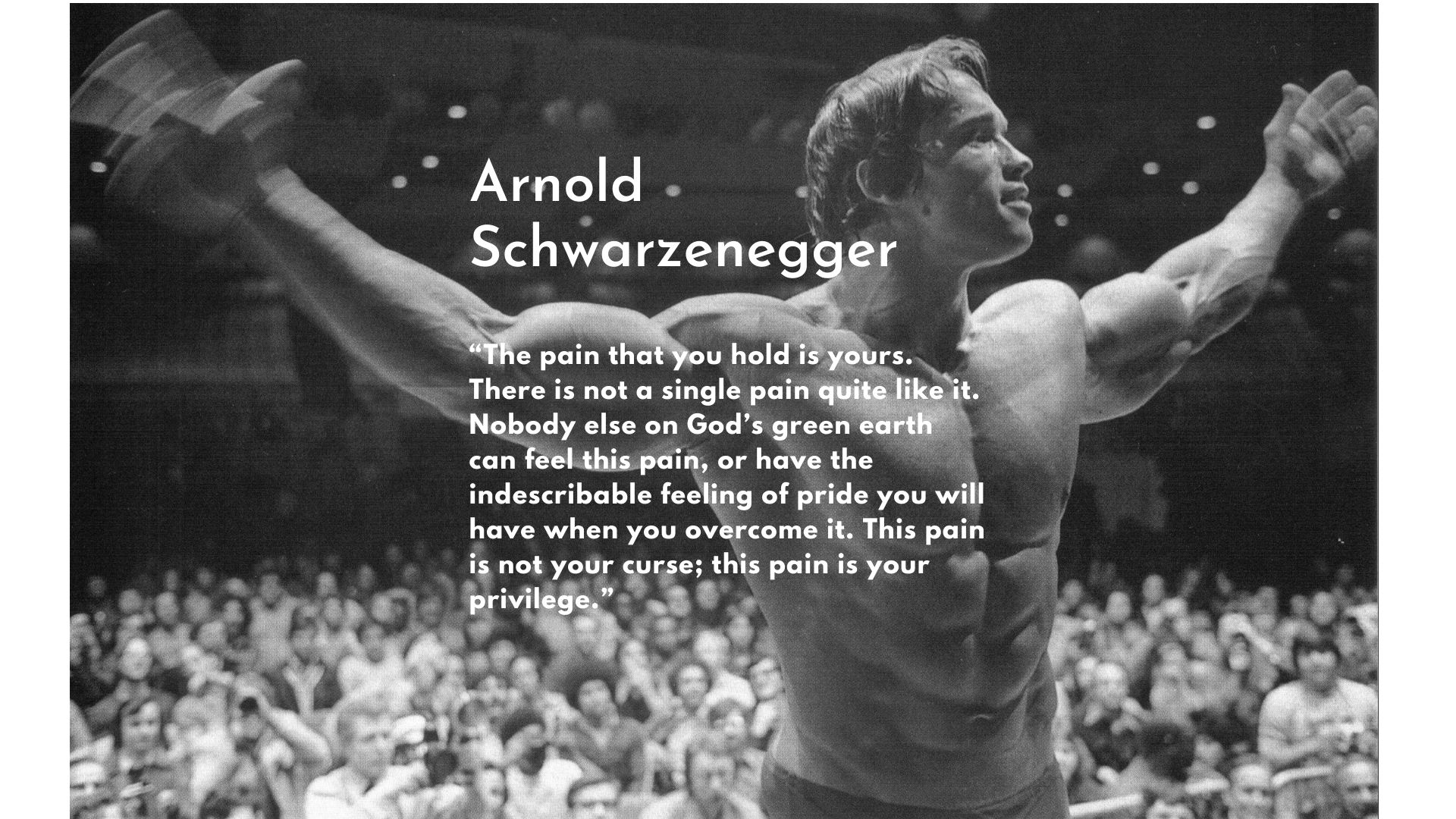 Arnold Schwarzenegger Quotes Wallpapers