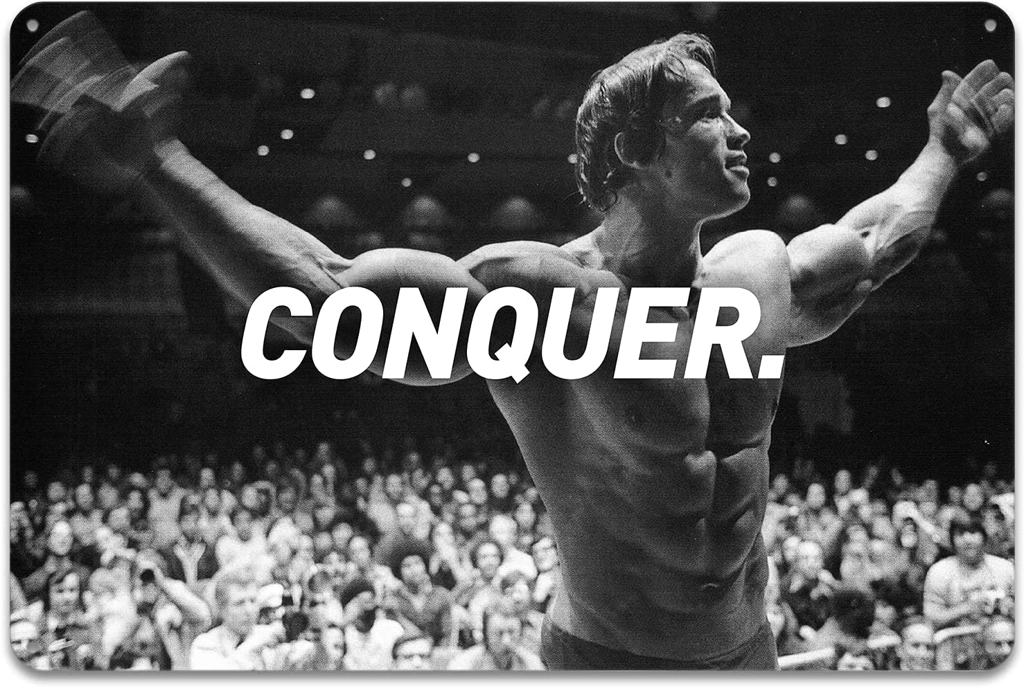 Arnold Schwarzenegger Quotes Wallpapers