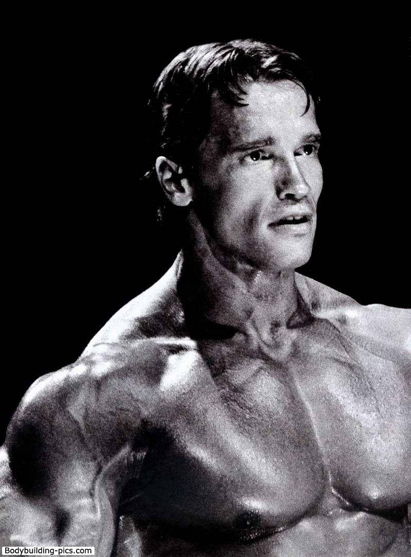 Arnold Schwarzenegger Quotes Wallpapers