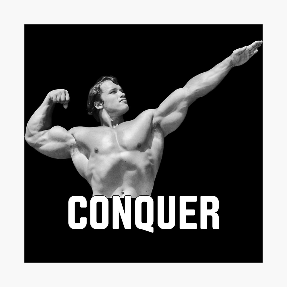 Arnold Schwarzenegger Conquer Wallpapers