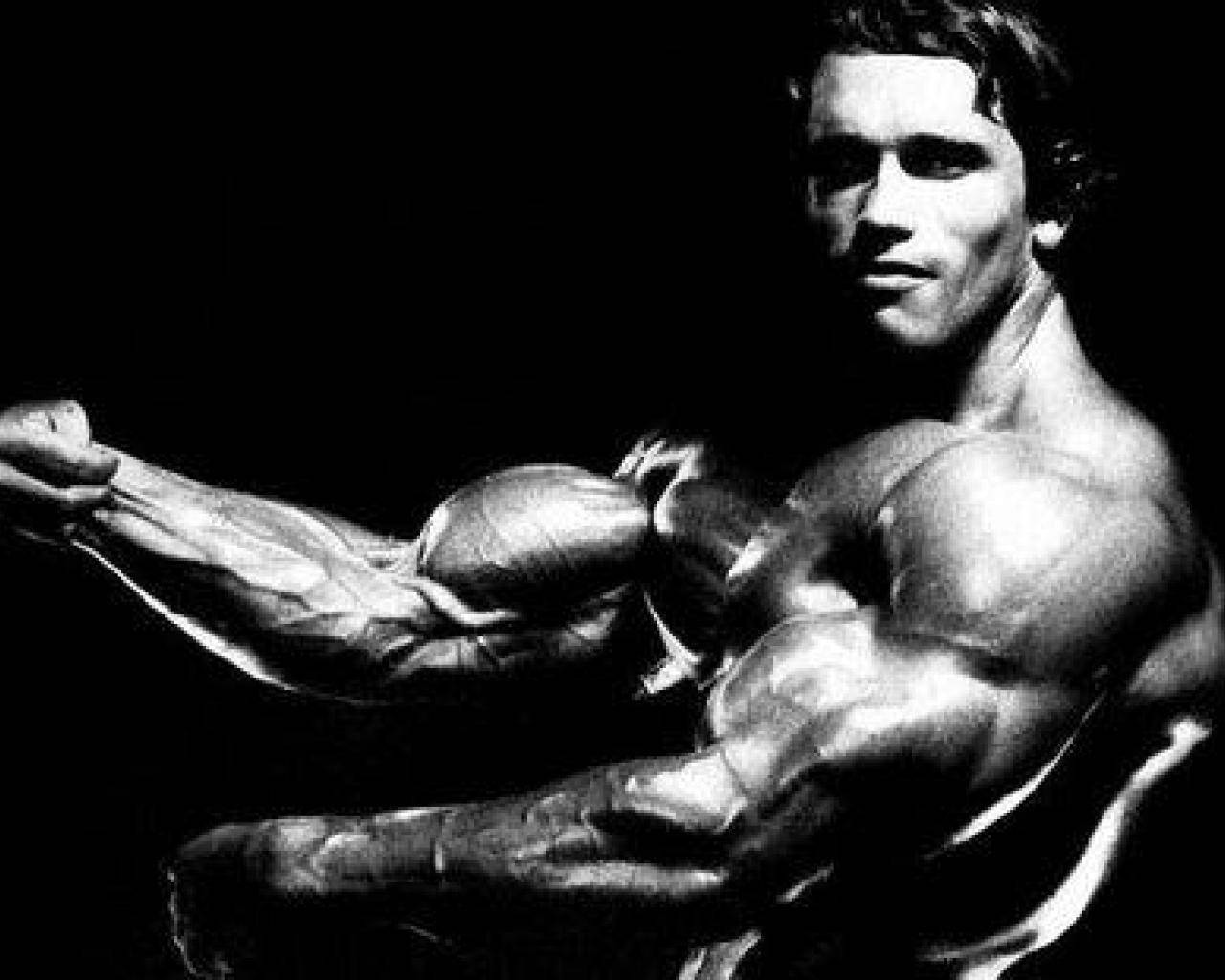 Arnold Schwarzenegger Conquer Wallpapers