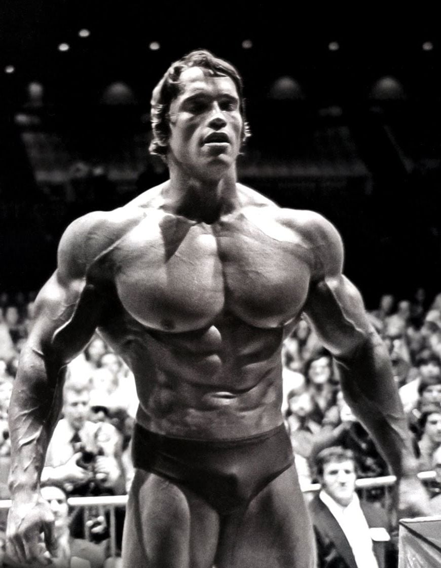 Arnold Schwarzenegger Conquer Wallpapers