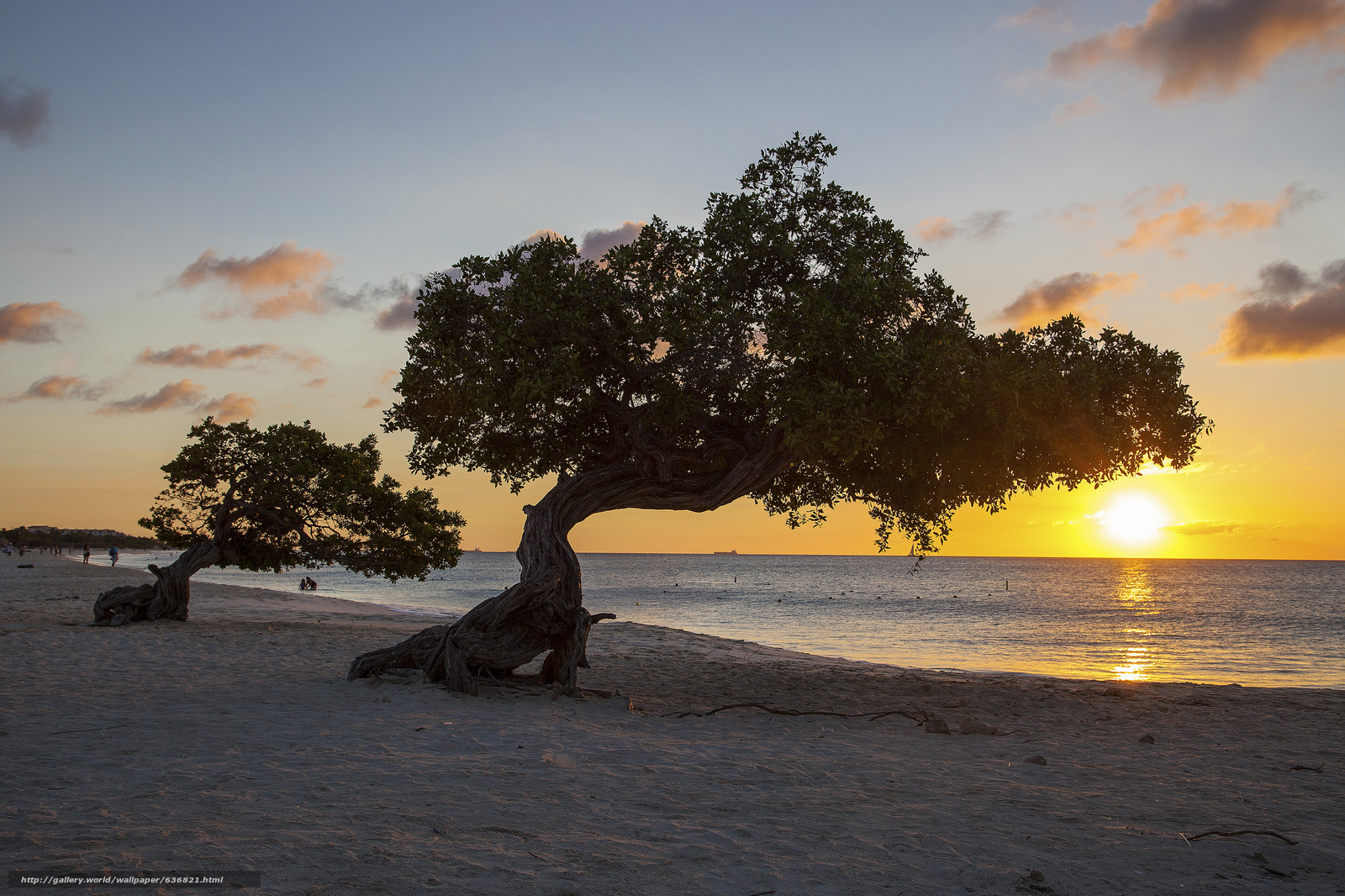 Aruba Desktop Wallpapers