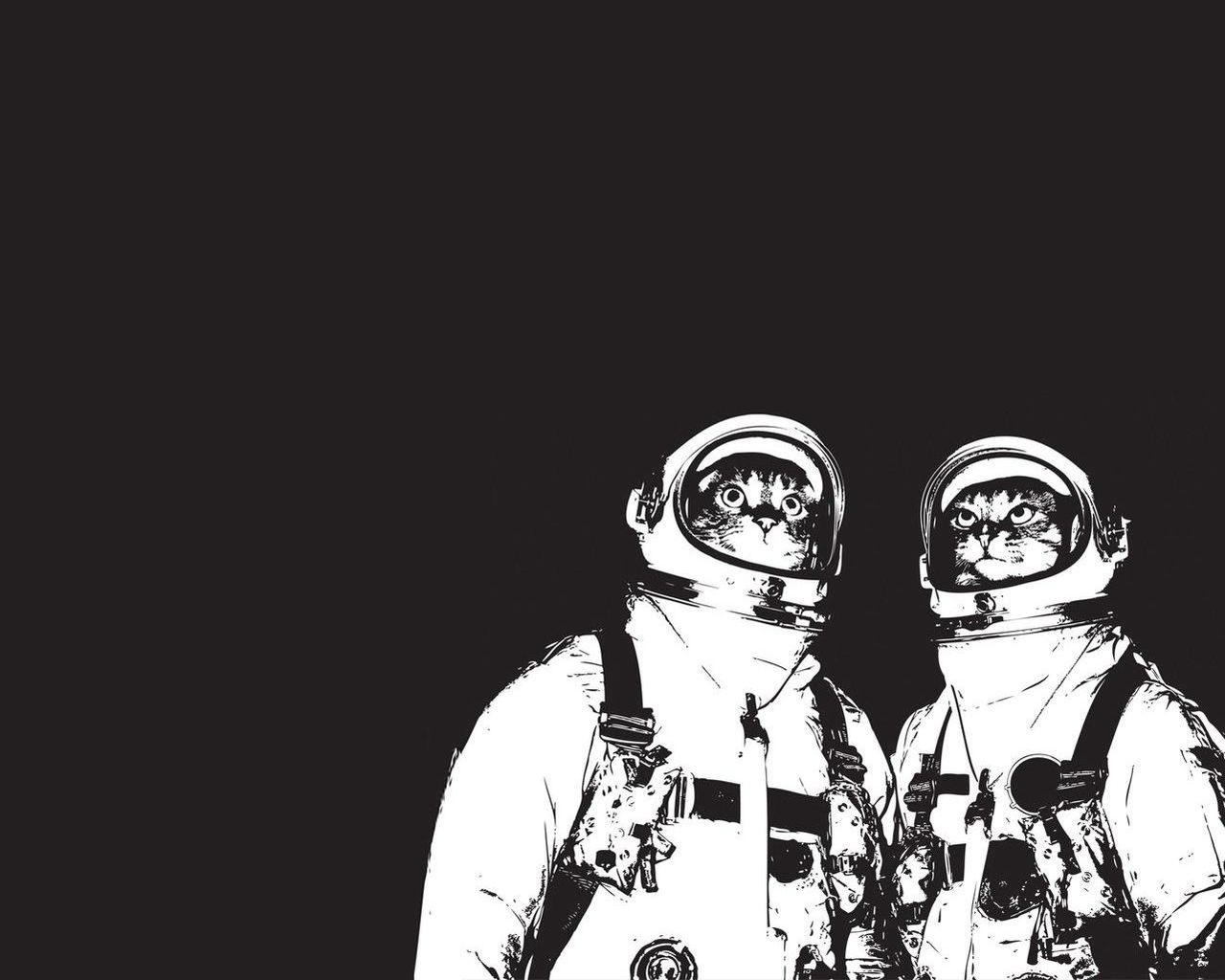 Astronaut Cat Wallpapers