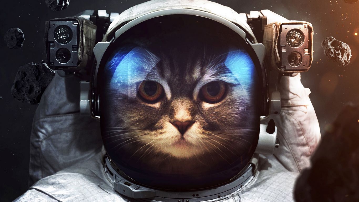 Astronaut Cat Wallpapers