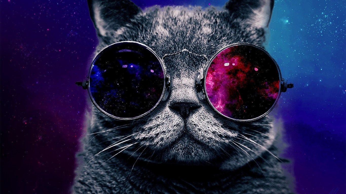 Astronaut Cat Wallpapers